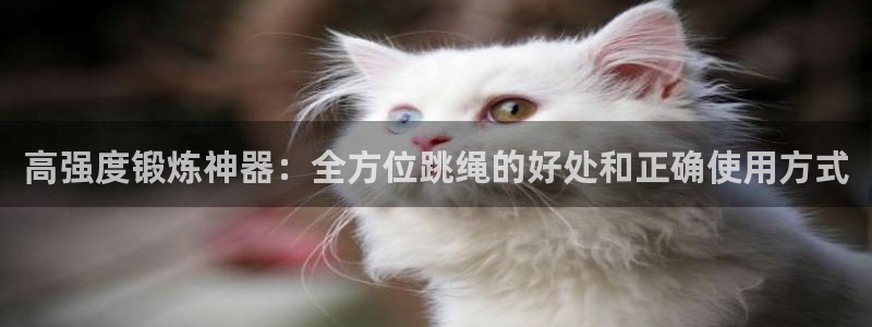 极悦平台官方网站首页:高强度锻炼神器:全方位跳绳的好处和正确