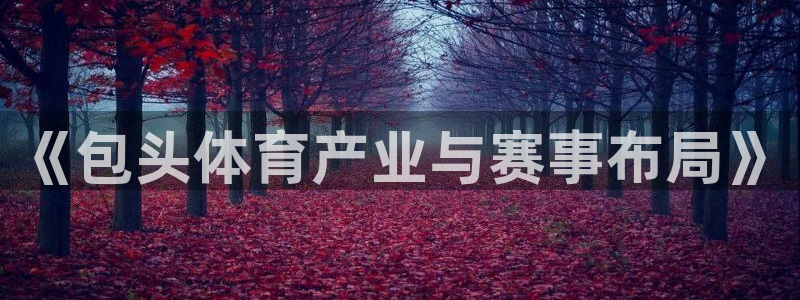 极悦娱乐的背景和历史背景是什么:《包头体育产业与赛事布局》