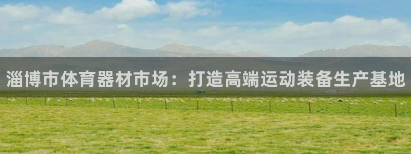极悦平台注册官网:淄博市体育器材市场:打造高端运动装备生产基