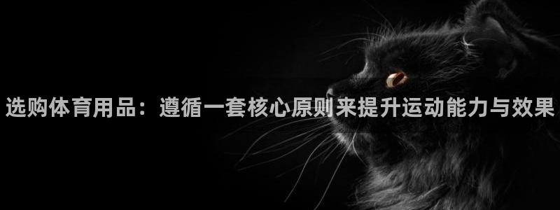 极悦娱乐官网入口网址:选购体育用品:遵循一套核心原则来提升运