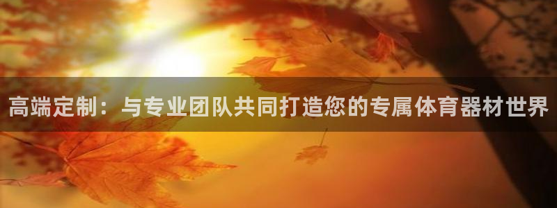 极悦平台官网登录入口网址是多少:高端定制:与专业团队共同打造